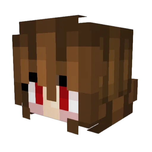 Eris1234 Minecraft avatar head, 3D render