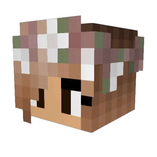 Erisek1 Minecraft avatar head, 3D render