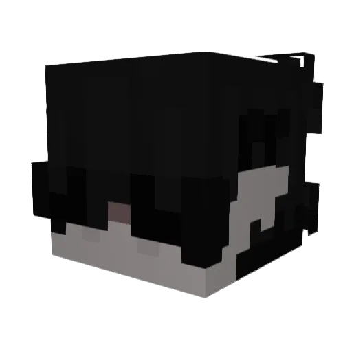 Erito69 Minecraft avatar head, 3D render