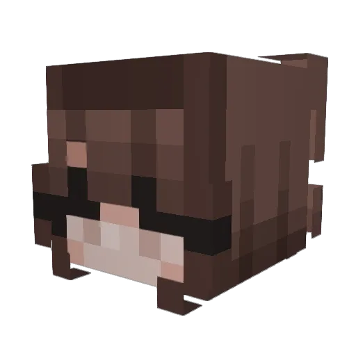 Eriun Minecraft avatar head, 3D render