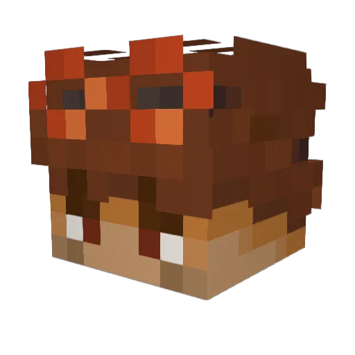 Erix06 Minecraft avatar head, 3D render