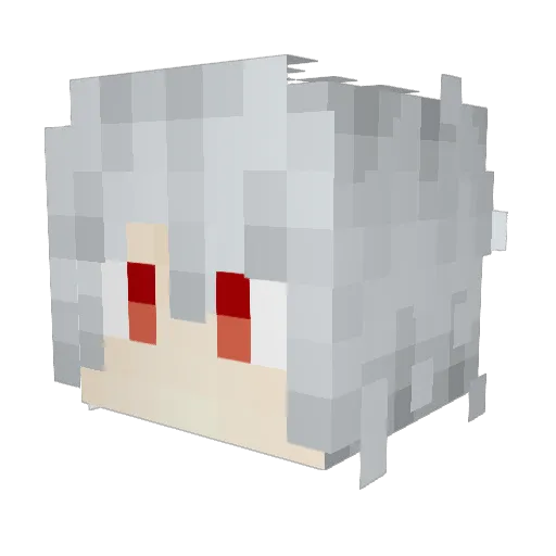 Erizo_ Minecraft avatar head, 3D render