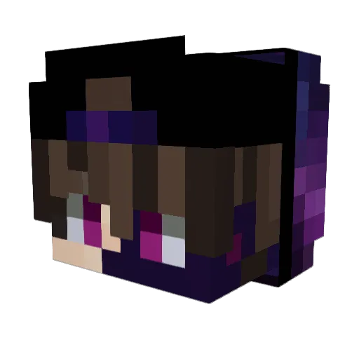 Erizzle11 Minecraft avatar head, 3D render