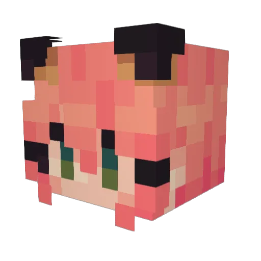 Erjize1209 Minecraft avatar head, 3D render