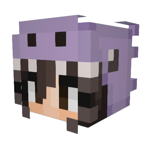 Erk0ni Minecraft avatar head, 3D render