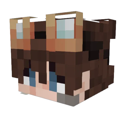 ErkanVerner Minecraft avatar head, 3D render