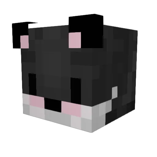 Erkeros Minecraft avatar head, 3D render