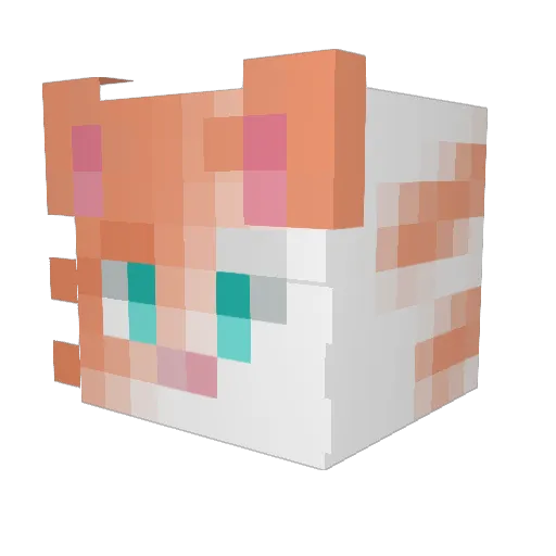 Erkkuu_ Minecraft avatar head, 3D render