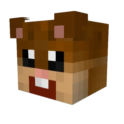ErkoZ Minecraft avatar head, 3D render