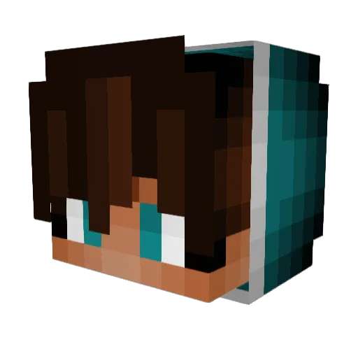 Erle0101 Minecraft avatar head, 3D render