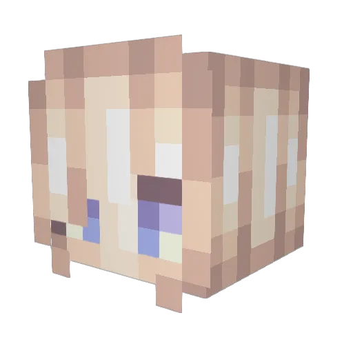 ErlingBHaaland Minecraft avatar head, 3D render