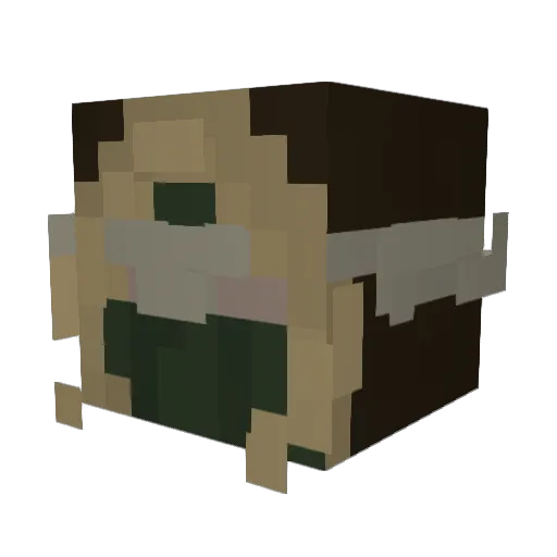 ErmineTheArrows Minecraft avatar head, 3D render