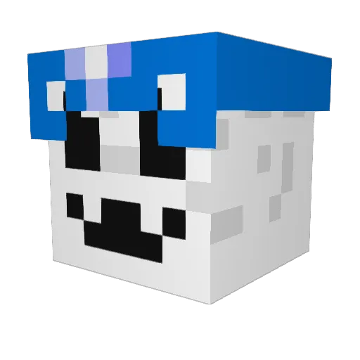 Erminecraft11 Minecraft avatar head, 3D render