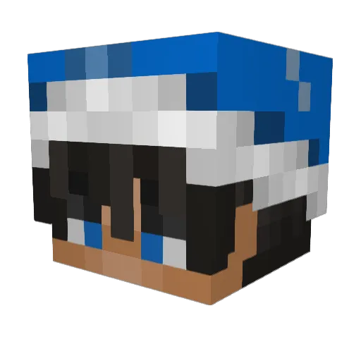 Ernest1400 Minecraft avatar head, 3D render