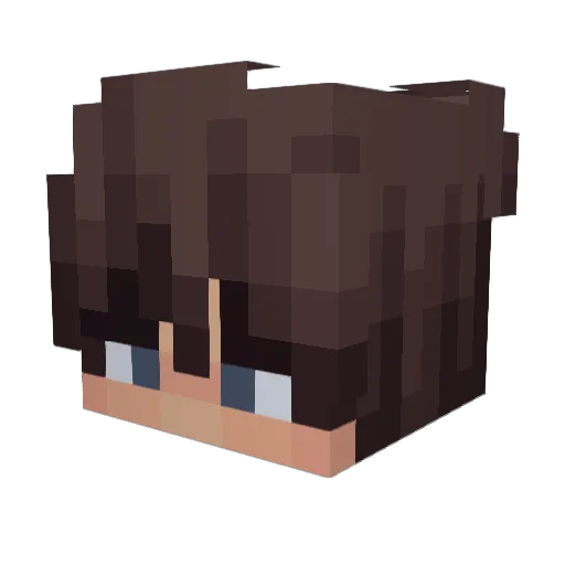 Eroberer_Jannik Minecraft avatar head, 3D render