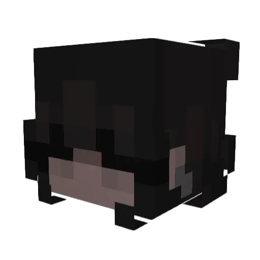 Eroka33 Minecraft avatar head, 3D render