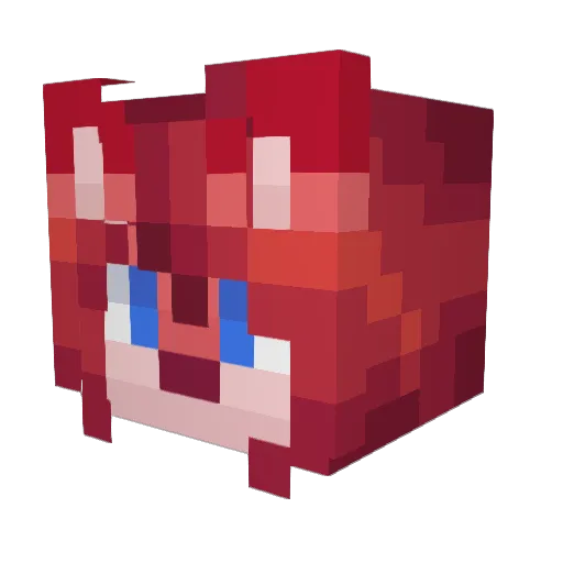 Erol509 Minecraft avatar head, 3D render
