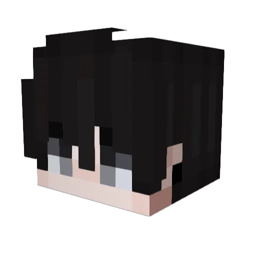 Erom710 Minecraft avatar head, 3D render