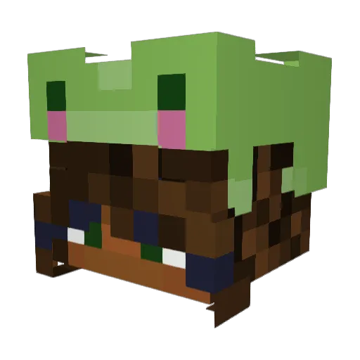 Eron222 Minecraft avatar head, 3D render