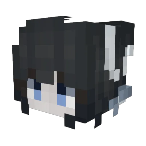 Erosa_ Minecraft avatar head, 3D render