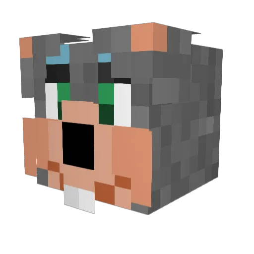 Erpava Minecraft avatar head, 3D render