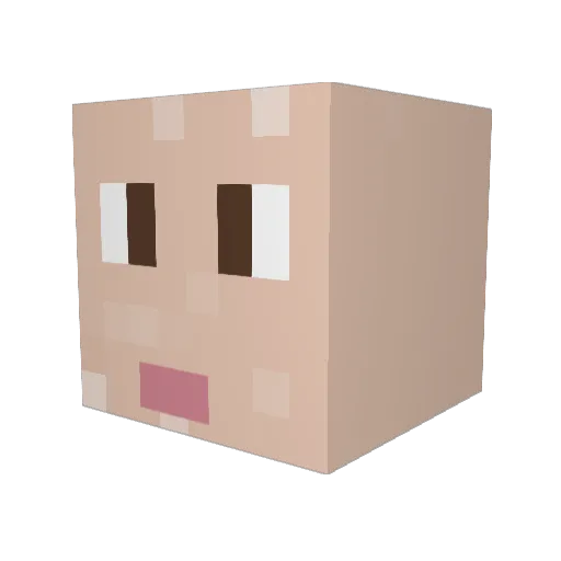 Erpunitore Minecraft avatar head, 3D render