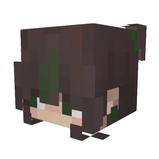 Err0rSt4r Minecraft avatar head, 3D render