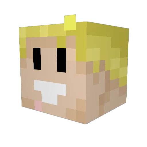 ErrantVenture Minecraft avatar head, 3D render