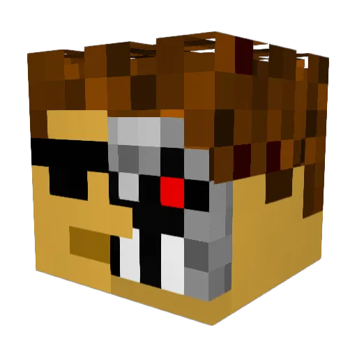 ErrareHumanumEst Minecraft avatar head, 3D render