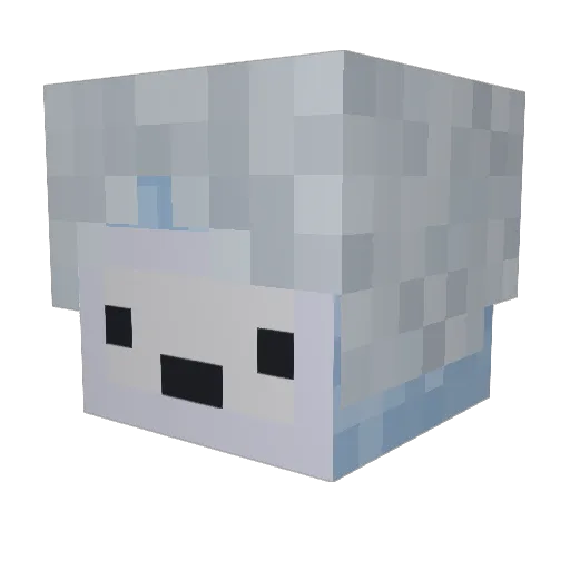 ErraticBranding Minecraft avatar head, 3D render
