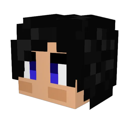 Erre4 Minecraft avatar head, 3D render
