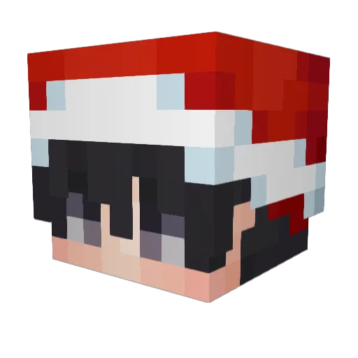 Erregter Minecraft avatar head, 3D render