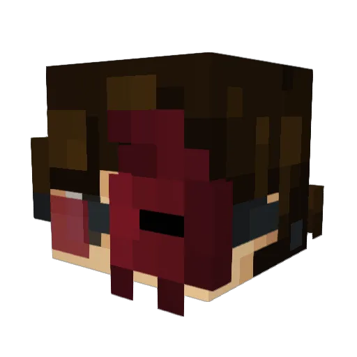 Errinho565 Minecraft avatar head, 3D render