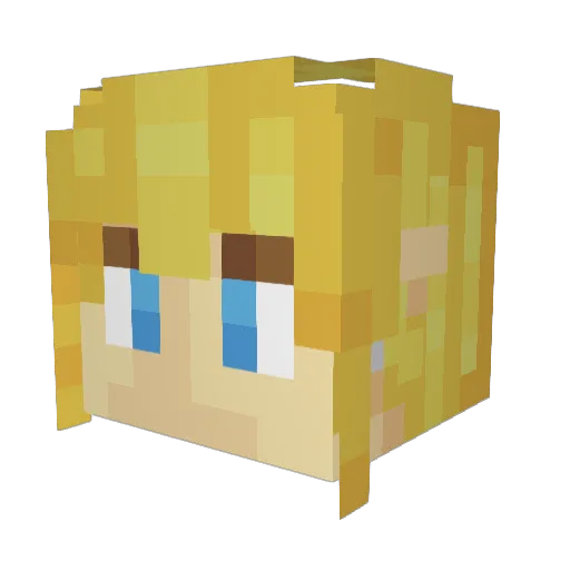 ErroR_47 Minecraft avatar head, 3D render