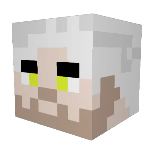 Erroga Minecraft avatar head, 3D render