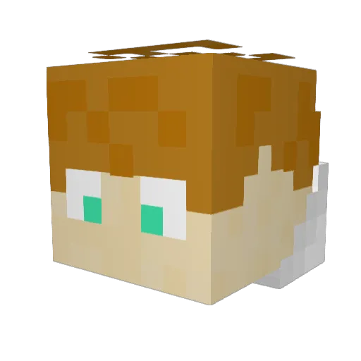 Errolfast Minecraft avatar head, 3D render