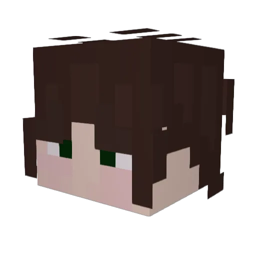 Errooke Minecraft avatar head, 3D render