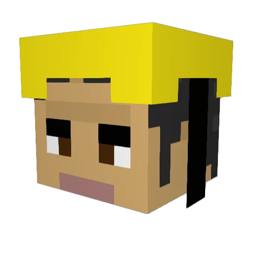 Error000 Minecraft avatar head, 3D render