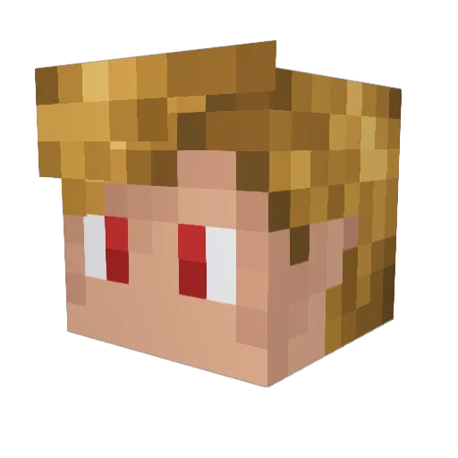 Error0036 Minecraft avatar head, 3D render
