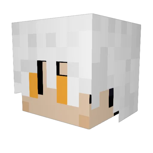 Error20076857 Minecraft avatar head, 3D render