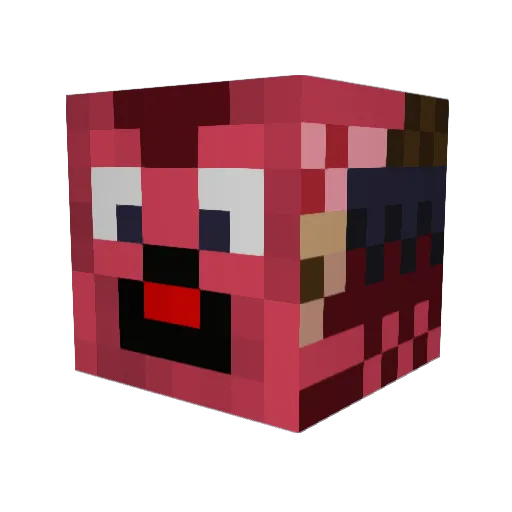 Error202 Minecraft avatar head, 3D render