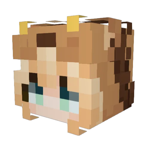 Error455 Minecraft avatar head, 3D render