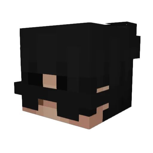 Error623 Minecraft avatar head, 3D render