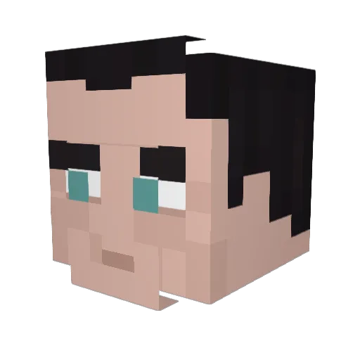 Error9830 Minecraft avatar head, 3D render