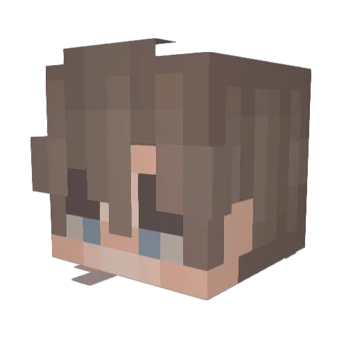ErrorATE Minecraft avatar head, 3D render