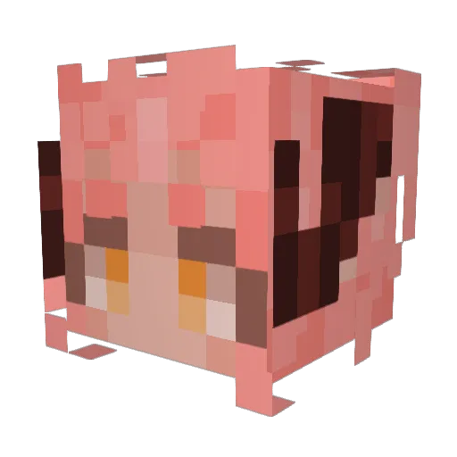 ErrorEros Minecraft avatar head, 3D render