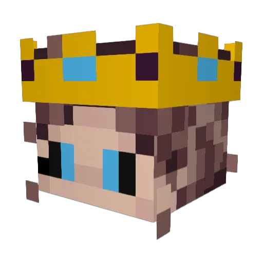 ErrorTheCrafter Minecraft avatar head, 3D render