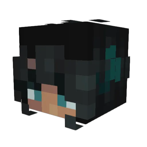 ErrorUnknown606 Minecraft avatar head, 3D render