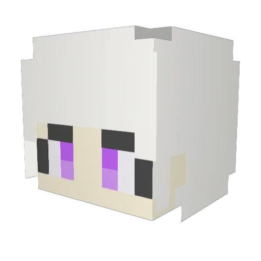 Error_Sas Minecraft avatar head, 3D render