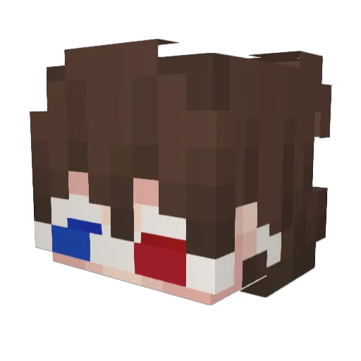 Error_byte Minecraft avatar head, 3D render